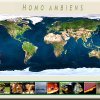 HOMO AMBIENS